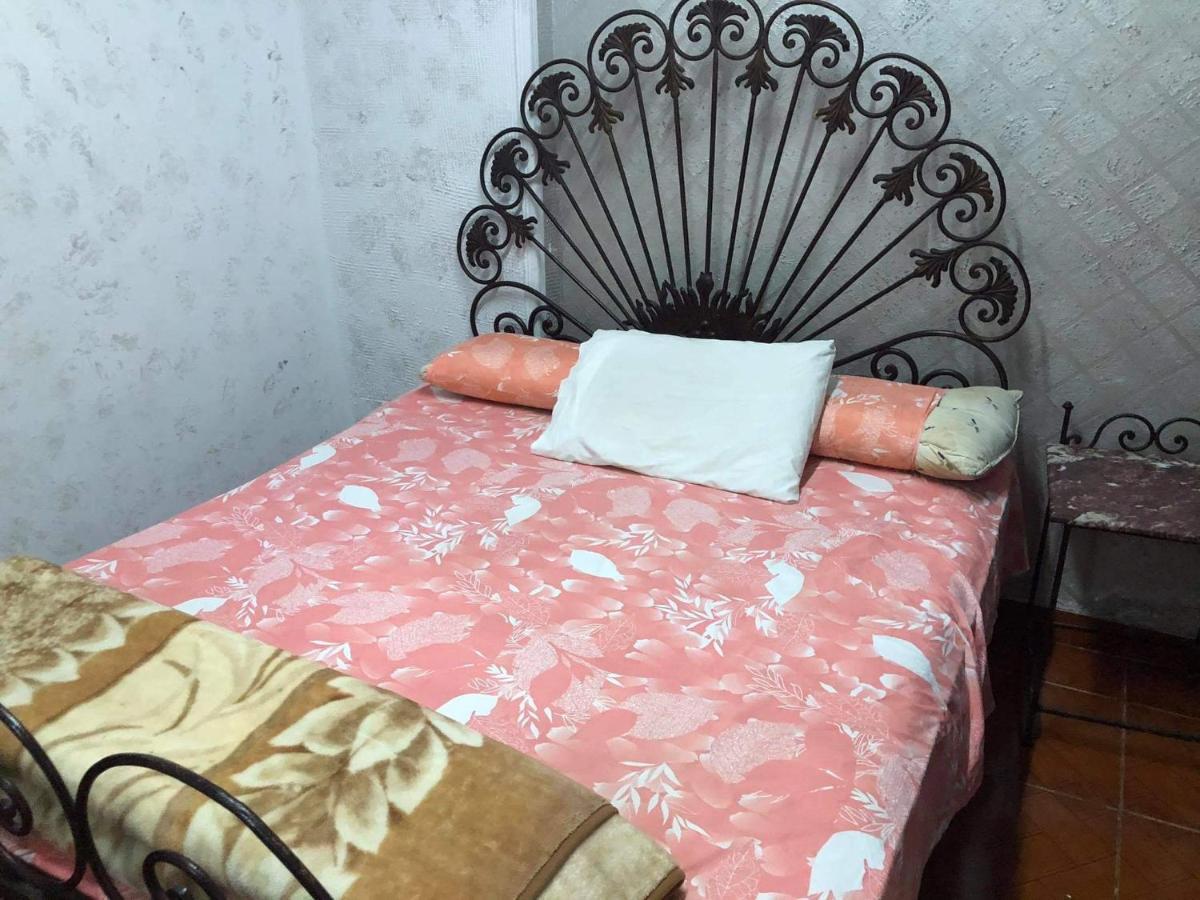 جليم ٣٦١ طريق الجيش برج زهرة البحر Apartmán *